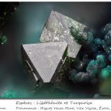 Libethenite and Turquoise<br />Miguel Vacas Mine, Pardais and Conceição Parish, Vila Viçosa, Évora District, Alentejo Central Province, Alentejo Region, Portugal<br />fov 1.5 mm<br /> (Author: ploum)