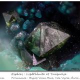 Libethenite and Turquoise<br />Miguel Vacas Mine, Pardais and Conceição Parish, Vila Viçosa, Évora District, Alentejo Central Province, Alentejo Region, Portugal<br />fov 1.5 mm<br /> (Author: ploum)