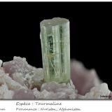 Tourmaline<br />Nuristan Province, Afghanistan<br />fov 26 mm<br /> (Author: ploum)