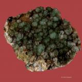 Fluorita.<br />Afloramientos de Singuerlín, Puig Castellar (Serra de Marina), Singuerlín, Santa Coloma de Gramenet, Comarca Barcelonès, Barcelona, Cataluña / Catalunya, España<br />80x65 mm<br /> (Autor: Jesus Franquesa Baucells)