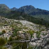 A large quartz outcrop but not with much found. (Author: Pierre Joubert)