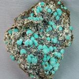 RosasiteSilver Bill Mine, Costello Mine group, Gleeson, Turquoise District, Dragoon Mountains, Cochise County, Arizona, USA7.0cm x 5.5cm (Author: rweaver)