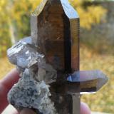 Quartz (variety smoky) with Hematite<br />Vorderes Galmihorn, Bächi Valley, Reckingen, Grafschaft, Goms, Wallis (Valais), Switzerland<br />8 cm<br /> (Author: Benj)