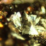 Pyrite<br />Valdelapiedra ravine, Foz-Calanda, Comarca Bajo Aragón, Teruel, Aragon, Spain<br />FOV 5 mm<br /> (Author: franjungle)