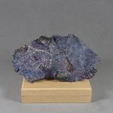 Bornita sobre Plata Nativa.<br />Mina San Martín, San Martín, Distrito San Martín-Sabinas, Municipio Sombrerete, Zacatecas, México<br />8,8 x 5 x 1,4 cm.<br /> (Autor: J. G. Alcolea)