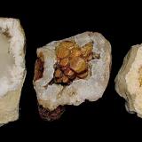 Calcite<br />Indiana, USA<br />Calcites from 5 cm to 9 cm<br /> (Author: Bob Harman)