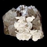 Arsenopirita con Calcita<br />Mina Yaogangxian, Yizhang, Prefectura Chenzhou, Provincia Hunan, China<br />7 x 7 cm.<br /> (Autor: Antonio P. López)