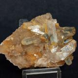 Celestina<br />Lagunas de Rabasa, Alicante/Alacant, Comarca Campo de Alicante, Alicante / Alacant, Comunidad Valenciana / Comunitat Valenciana, España<br />8.5 x 5 cm<br /> (Autor: Pedro Antonio)