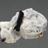 NeptunitaMina California State Gem (Benitoite Gem Mine), Zona San Benito River headwaters, Pico Santa Rita, Distrito New Idria, Condado San Benito, California, USA5x3 cm (Autor: nimfiara)