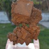 Goethita<br />Carratraca, Comarca Valle del Guadalhorce, Málaga, Andalucía, España<br />13x9 cm<br /> (Autor: nimfiara)