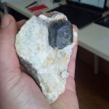 Galena<br />Mina Regia, Bellmunt del Priorat, Comarca Priorat, Tarragona, Cataluña / Catalunya, España<br />9x6 cm<br /> (Autor: nimfiara)