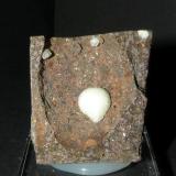 Calcita<br />Pedrera Can Súria (Pedrera Guixeres), Maçanet de la Selva, Comarca La Selva, Gerona / Girona, Cataluña / Catalunya, España<br />5x4 cm<br /> (Autor: nimfiara)