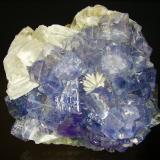 Fluorita, Barita<br />Mina Jaimina, filón Obdulia, Zona Minera Caravia, Trechorio, Carrales, Caravia, Comarca Oriente, Principado de Asturias (Asturias), España<br />8´5x8 cm<br /> (Autor: geoalfon)