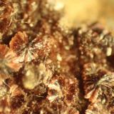 Erythrite<br />La Cena del Depósito Claim, Huércal-Overa, Comarca Levante Almeriense, Almería, Andalusia, Spain<br />FOV 6 mm<br /> (Author: franjungle)