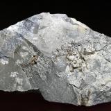 Plata (variedad kongsbergita)Corta Santa Matilde, grupo minero Berja, Las Herrerías, Sierra Almagrera, Cuevas del Almanzora, Comarca Levante Almeriense, Almería, Andalucía, España8 x 5 cm. (Autor: Antonio P. López)