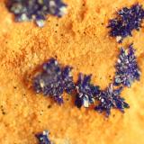 Azurite<br />Reformada Mine, El Pinar de Bédar, Bédar, Comarca Levante Almeriense, Almería, Andalusia, Spain<br />FOV 7 mm<br /> (Author: franjungle)