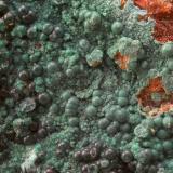 Pseudomalaquita<br />Mina Undécimo San Lino, Cardeña, Comarca Los Pedroches, Córdoba, Andalucía, España<br />Campo de visión de 10 mm<br /> (Autor: Antonio Carmona)