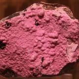 Dolomite (variety cobaltoan dolomite)<br />Katanga Copper Crescent, Katanga (Shaba), Democratic Republic of the Congo (Zaire)<br />96mm x 74mm x 56mm<br /> (Author: franjungle)