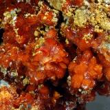 Botryogen<br />Libiola Mine, Sestri Levante, Genova Province, Liguria, Italy<br />4.3 x 6.7 cm<br /> (Author: crosstimber)