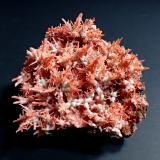 Crocoite, Gibbsite<br />Adelaide Mine, Dundas mineral field, Zeehan District, West Coast Council, Tasmania, Australia<br />66 mm x 55 mm x 29 mm<br /> (Author: Don Lum)