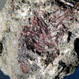 Kermesita<br />Kolársky vrch, Pezinok, Distrito Pezinok, Region Bratislava, Eslovaquia<br />Campo de visión 4 cm.<br /> (Autor: Antonio P. López)