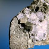 Cubanita<br />Mina Henderson No. 2, Chibougamau, Nord-du-Québec, Québec, Canadá<br />Cristales de 1 cm.<br /> (Autor: Antonio P. López)