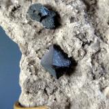 BornitaMina Dzhezkazgan, Dzhezkazgan, Región Karaganda, KazajstánTamaño del cristal principal 0,7 cm. (Autor: Antonio P. López)