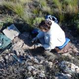 Riana busy removing the contents of a nice pocket. (Author: Pierre Joubert)