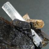 Beryl (variety aquamarine), Schorl and Quartz<br />Erongo Mountain, Usakos, Erongo Region, Namibia<br />55mm x 68mm x 57mm<br /> (Author: Heimo Hellwig)