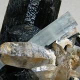 Beryl (variety aquamarine), Schorl and Quartz<br />Erongo Mountain, Usakos, Erongo Region, Namibia<br />55mm x 68mm x 57mm<br /> (Author: Heimo Hellwig)