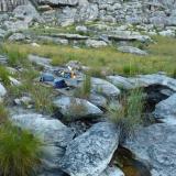 My camp site next to a small stream. (Author: Pierre Joubert)