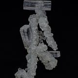 Fluorapophyllite-(K), Prehnite<br />Pune District (Poonah District), Maharashtra, India<br />5.1 x 2.4 cm<br /> (Author: am mizunaka)