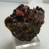 Rhodochrosite<br />Louise Mine, Horhausen, Flammersfeld, Altenkirchen (Westerwald), Siegerland, Rhineland-Palatinate/Rheinland-Pfalz, Germany<br />5,5 x 4,5 cm<br /> (Author: Andreas Gerstenberg)