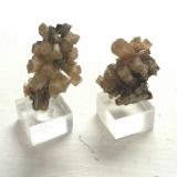 Pyromorphite<br />Friedrich Mine, Schönstein (Steckenstein), Wissen, Flammersfeld, Altenkirchen (Westerwald), Siegerland, Rhineland-Palatinate/Rheinland-Pfalz, Germany<br />About 2 x 1,5 cm each<br /> (Author: Andreas Gerstenberg)