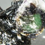 Fluorite and Schorl<br />Erongo Mountain, Usakos, Erongo Region, Namibia<br />51mm x 52mm x 28mm<br /> (Author: Heimo Hellwig)