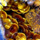 Cacoxenita.Minas de El Horcajo, El Horcajo, Almodóvar del Campo, Comarca Campo de Calatrava, Ciudad Real, Castilla-La Mancha, España8´116 x 5´392 mm. (Autor: Jesus Franquesa Baucells)