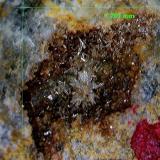 Piromorfita<br />Minas Can Magre, Vidreres, Comarca La Selva, Gerona / Girona, Cataluña / Catalunya, España<br />1´771 x 1´701 mm.<br /> (Autor: Jesus Franquesa Baucells)