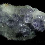 Fluorita y Cuarzo.<br />Mina Dongshan, Xianghualing, Linwu, Prefectura Chenzhou, Provincia Hunan, China<br />90x70 mm.<br /> (Autor: Jesus Franquesa Baucells)