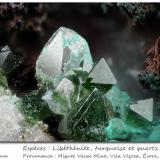 Libethenite,Turquoise and Quartz<br />Miguel Vacas Mine, Pardais and Conceição Parish, Vila Viçosa, Évora District, Alentejo Central Province, Alentejo Region, Portugal<br />fov 3.5 mm<br /> (Author: ploum)