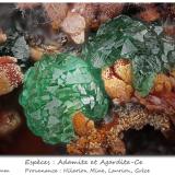 Adamite and Agardite-CeHilarion Mine, Hilarion area, Kamariza Mines, Agios Konstantinos, Lavrion Mining District, Attikí (Attica) Prefecture, Greecefov 2.5 mm (Author: ploum)