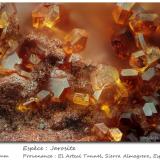 jarosite<br />Barranco del Francés, Sierra Almagrera, Cuevas del Almanzora, Comarca Levante Almeriense, Almería, Andalusia, Spain<br /><br /> (Author: ploum)
