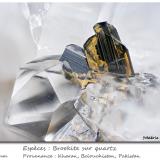 Brookite avec Quartz<br />Kharan, Kharan District, Balochistan (Baluchistan), Pakistan<br />fov 11 mm<br /> (Author: ploum)