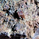 Perovskita<br />Rocca Sella, Almese, Val di Susa, Provincia Ciudad metropolitana de Turín, Piamonte (Piemonte), Italia<br />Cristal mayor de 4 mm.<br /> (Autor: Antonio P. López)