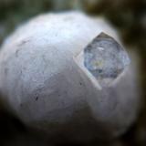 Fluorapophyllita-(K) (apofilita)<br />Cantera Malad, Malad, Mumbai (Bombay), Distrito Mumbai, Maharashtra, India<br />8 mm<br /> (Autor: José Luis Zamora)