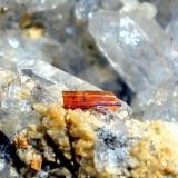 Brookita sobre CuarzoMonte Bregaceto, Borzonasca, Provincia Génova, Liguria, ItaliaCristal de 0,5 cm. (Autor: Antonio P. López)