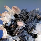 Hematites en Cuarzo<br />Mina Lechang, Lechang, Prefectura Shaoguan, Provincia Guangdong, China<br />Rosetas de 2 cm.<br /> (Autor: Antonio P. López)