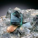 Fluorite<br />Rogerley Mine, Sutcliffe vein, Frosterley, Weardale, North Pennines Orefield, County Durham, England / United Kingdom<br />FOV = 6 cm<br /> (Author: Jesse Fisher)