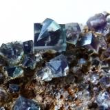 Fluorite<br />Rogerley Mine, Sutcliffe vein, Frosterley, Weardale, North Pennines Orefield, County Durham, England / United Kingdom<br />12mm<br /> (Author: colin robinson)