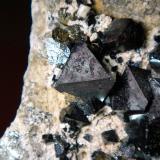 Magnetita<br />Prospección San Calixto, Cerro Huañaquino, Paco Grande, Provincia Tomás Frías, Departamento Potosí, Bolivia<br />Cristal mayor de 1,5 cm.<br /> (Autor: Antonio P. López)