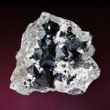 Magnetita<br />Prospección San Calixto, Cerro Huañaquino, Paco Grande, Provincia Tomás Frías, Departamento Potosí, Bolivia<br />7 x 6 cm.<br /> (Autor: Antonio P. López)